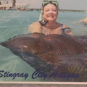 Meet your Posher, Sharon